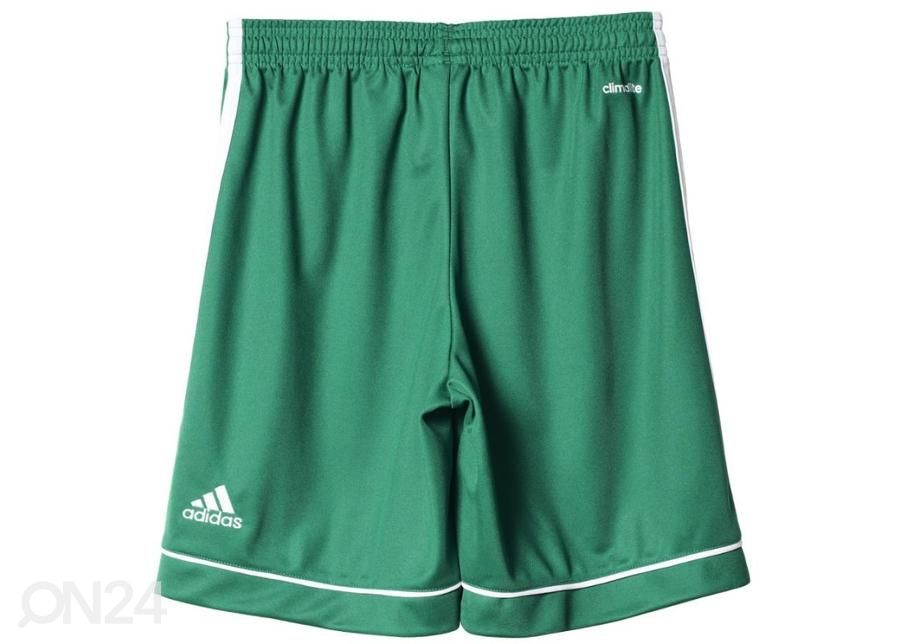 Lasten jalkapalloshortsit Adidas Squadra 17 Jr BK4776 kuvasuurennos