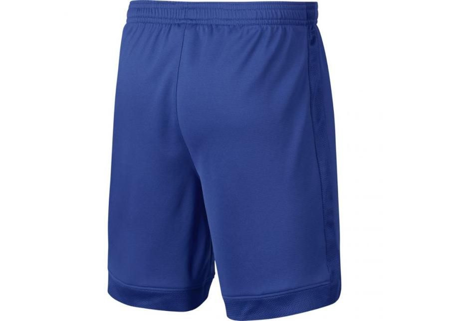 Lasten jalkapalloshortsit Nike B Dry Academy Junior AO0771-480 kuvasuurennos