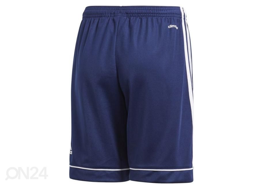 Lasten koripalloshortsit Adidas Squadra 17 Jr kuvasuurennos