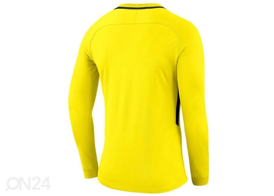 Lasten maalivahdin paita Nike Dry Park III LS Junior 894516-741 kuvasuurennos
