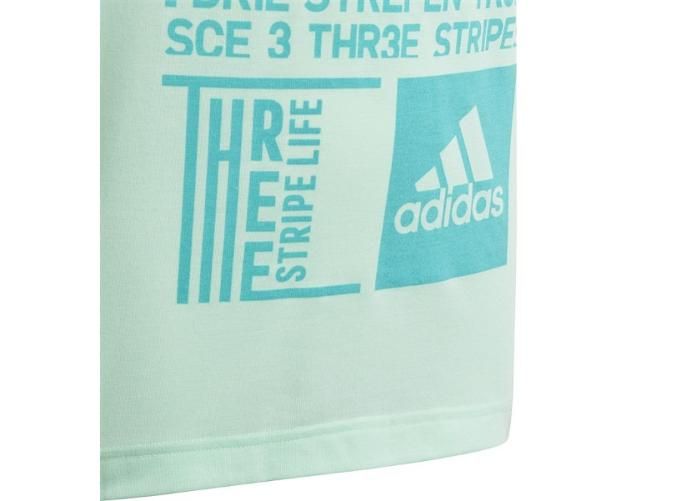 Lasten t-paita Adidas YG Graph Tee Jr kuvasuurennos