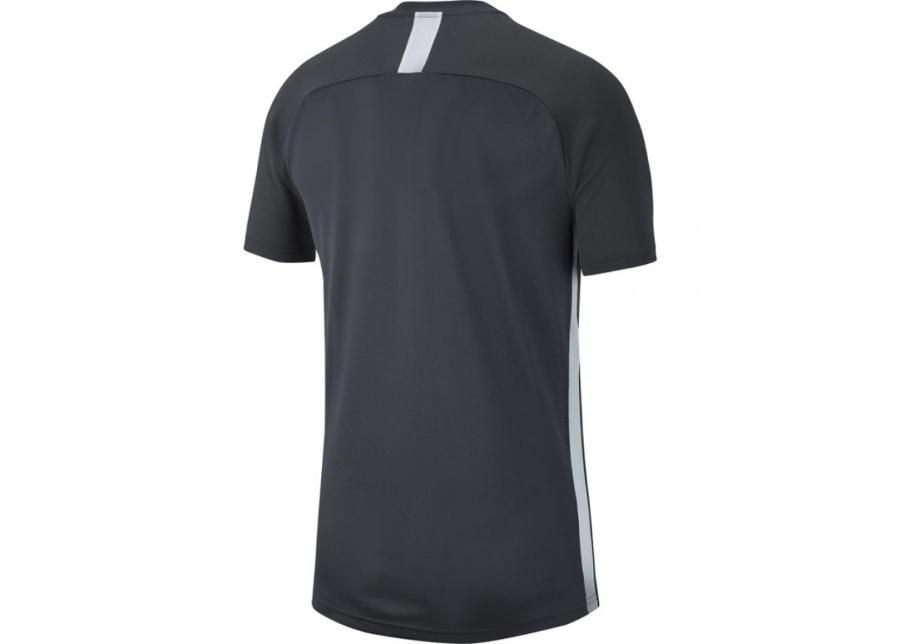 Lasten treenipaita Nike Dry Academy 19 Top SS Jr AJ9261 060 kuvasuurennos