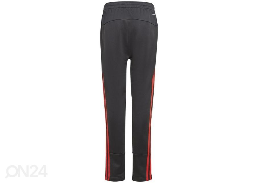 Lasten verryttelyhousut Adidas Primegreen 3-Stripes kuvasuurennos