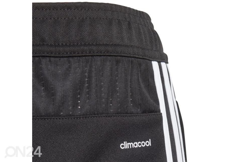 Lasten verryttelyhousut Tiro 17 Training Pants Junior BS3690 kuvasuurennos