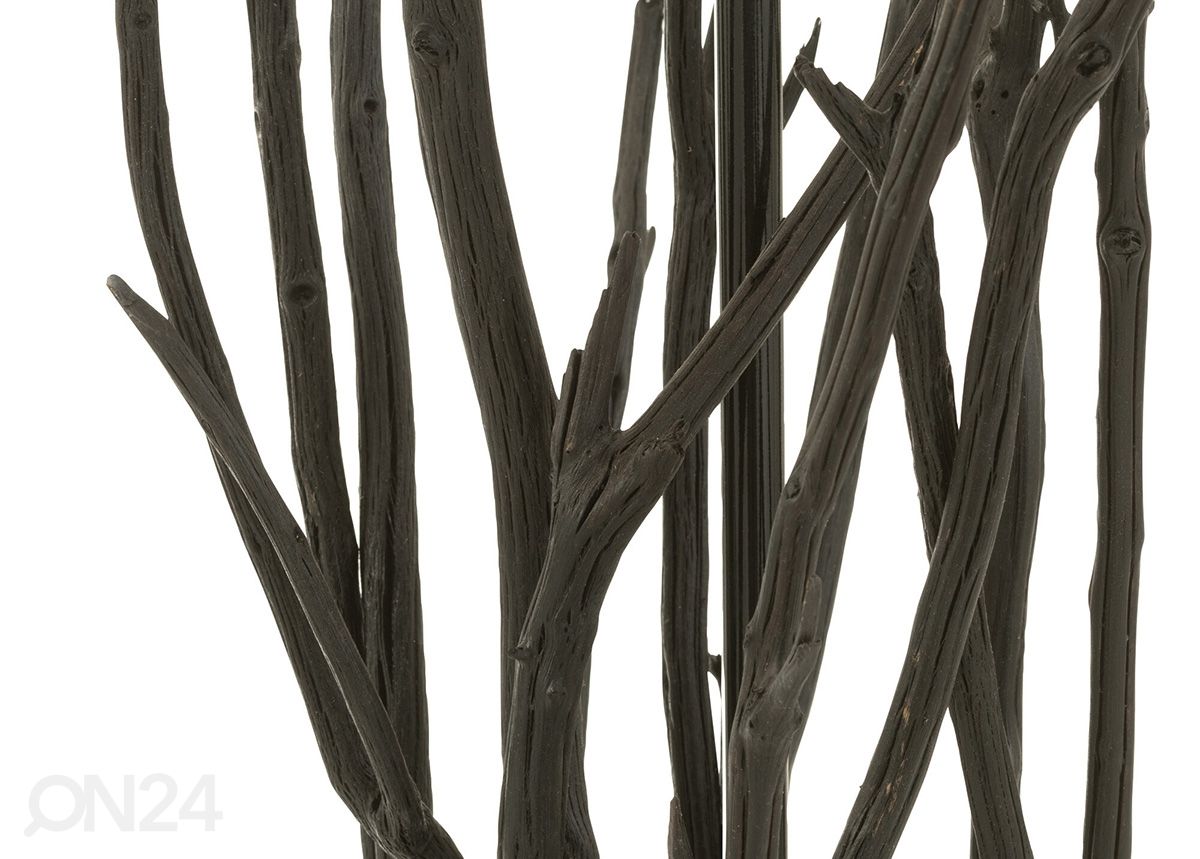 Lattiavalaisin Branches kuvasuurennos