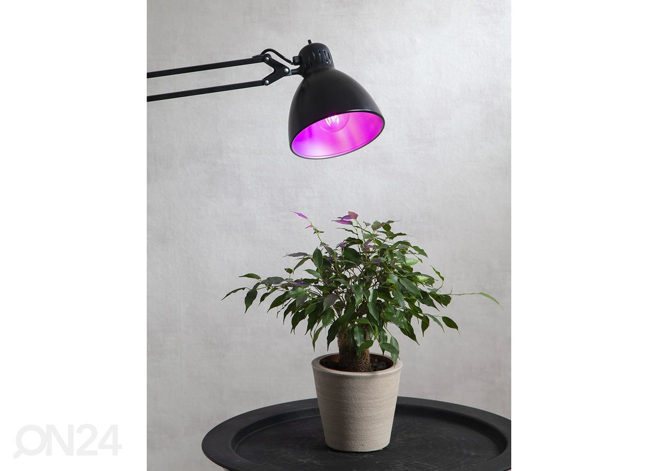 LED-lamppu kasveille E27 6,5 W kuvasuurennos