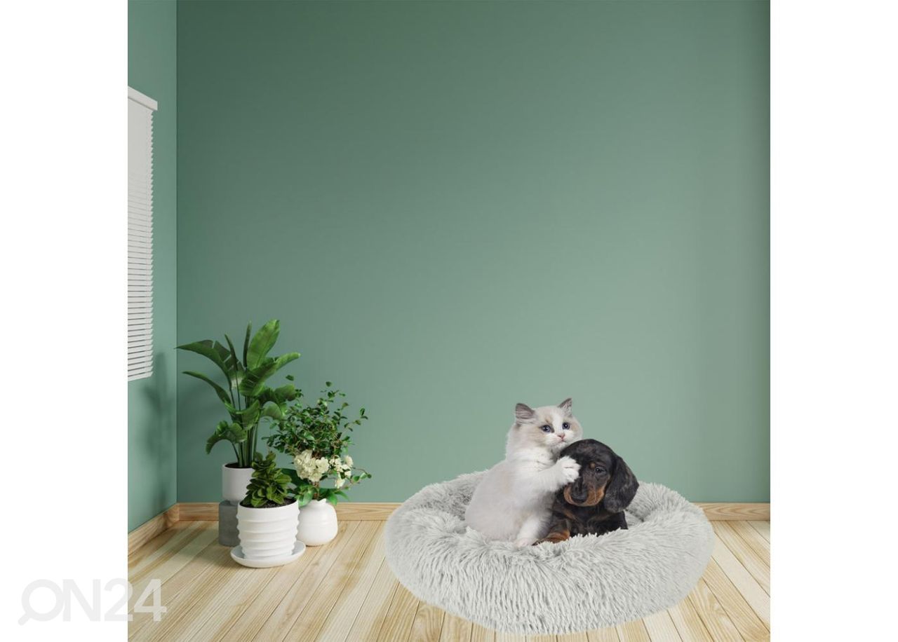 Lemmikin peti 60 cm, harmaa kuvasuurennos