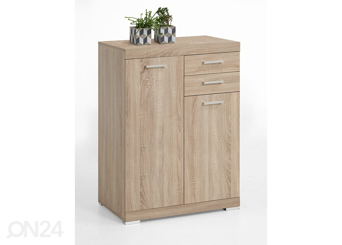 Lipasto Bristol 22 XL kuvasuurennos