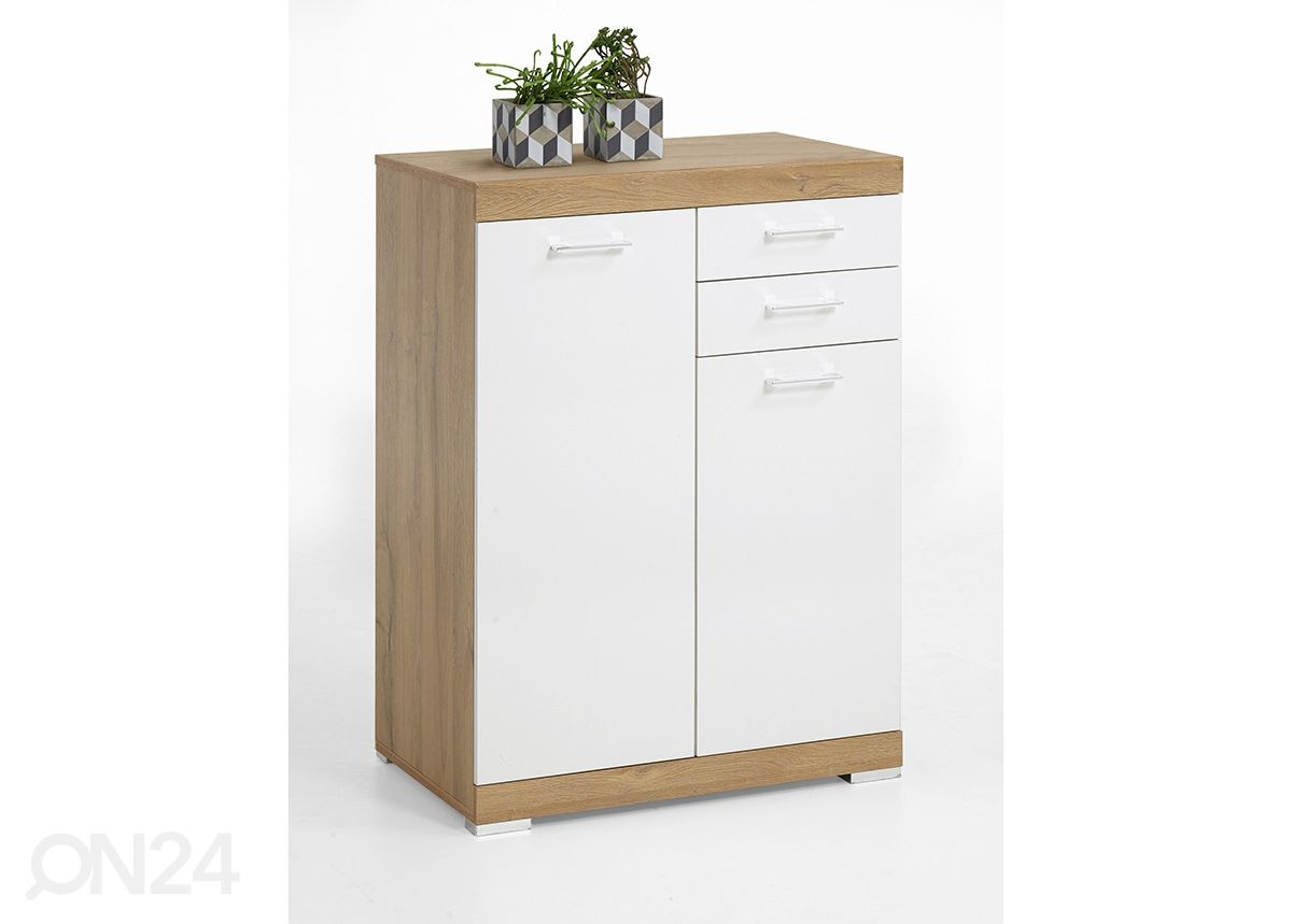 Lipasto Bristol 22 XL kuvasuurennos