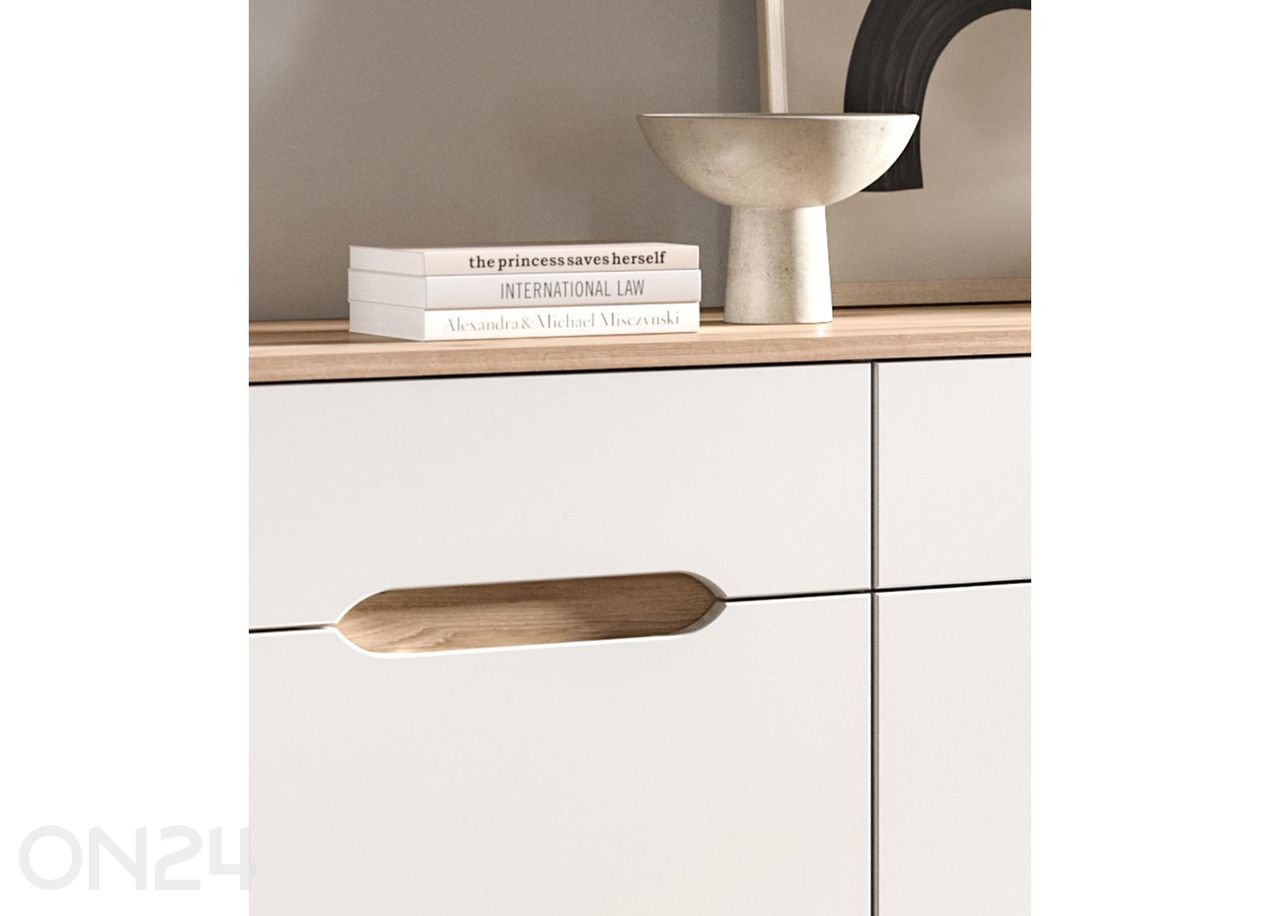 Lipasto Scandi kuvasuurennos