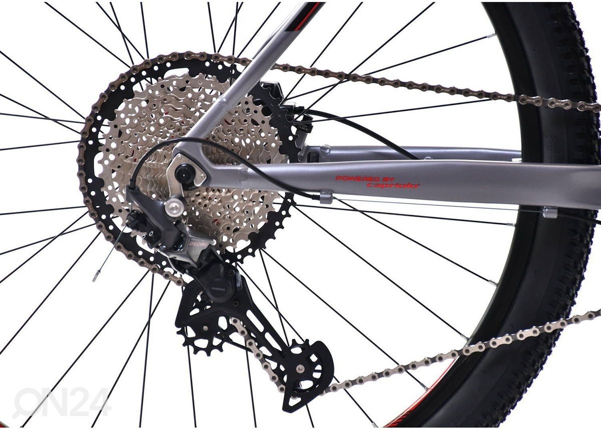 Maastopyörä MTB AL PHA 9.7, 29'', harmaa kuvasuurennos