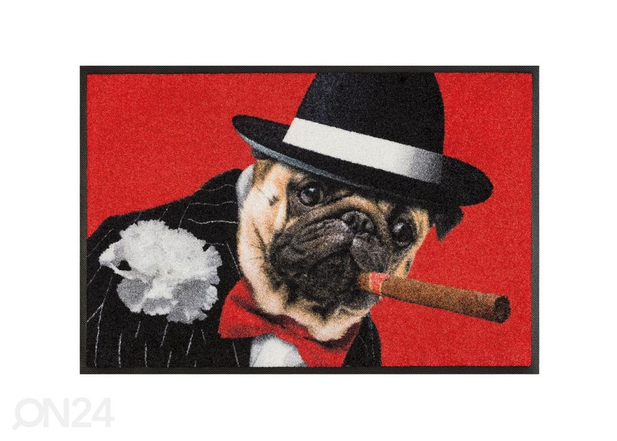 Matto SALVATORE 50x75 cm kuvasuurennos