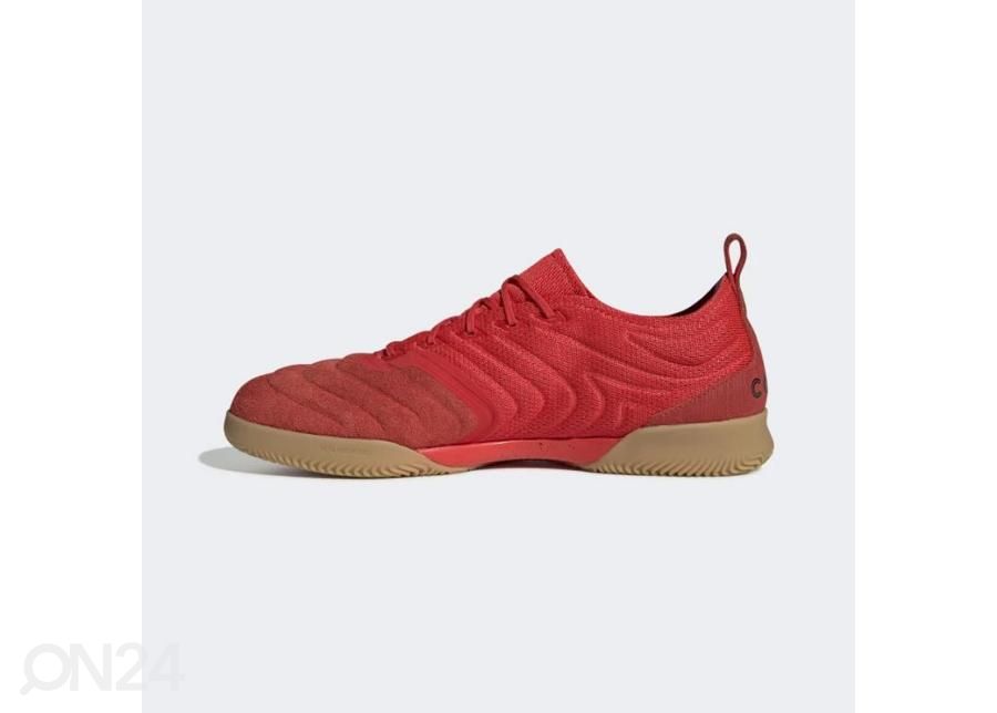 Miesten futsal sisäpelikengät Adidas Copa 20.1 IN M G28623 kuvasuurennos