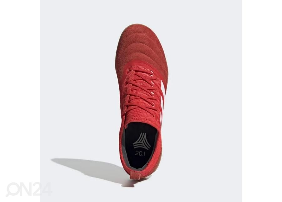 Miesten futsal sisäpelikengät Adidas Copa 20.1 IN M G28623 kuvasuurennos