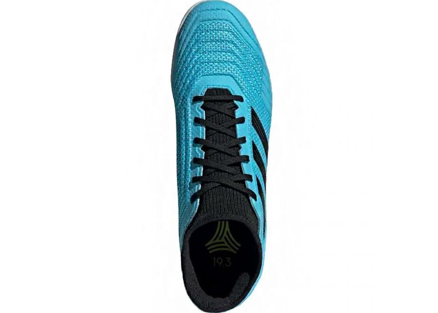 Miesten futsalkengät Adidas Predator 19.3 IN M F35615 kuvasuurennos