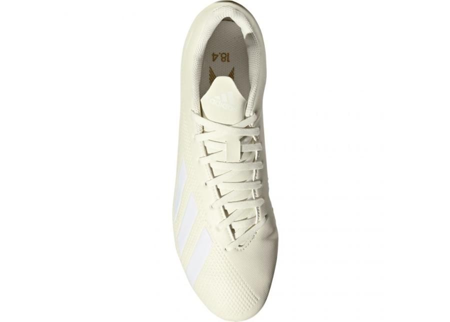 Miesten jalkapallokengät nurmikentälle Adidas X 18.4 FG M DB2187 kuvasuurennos