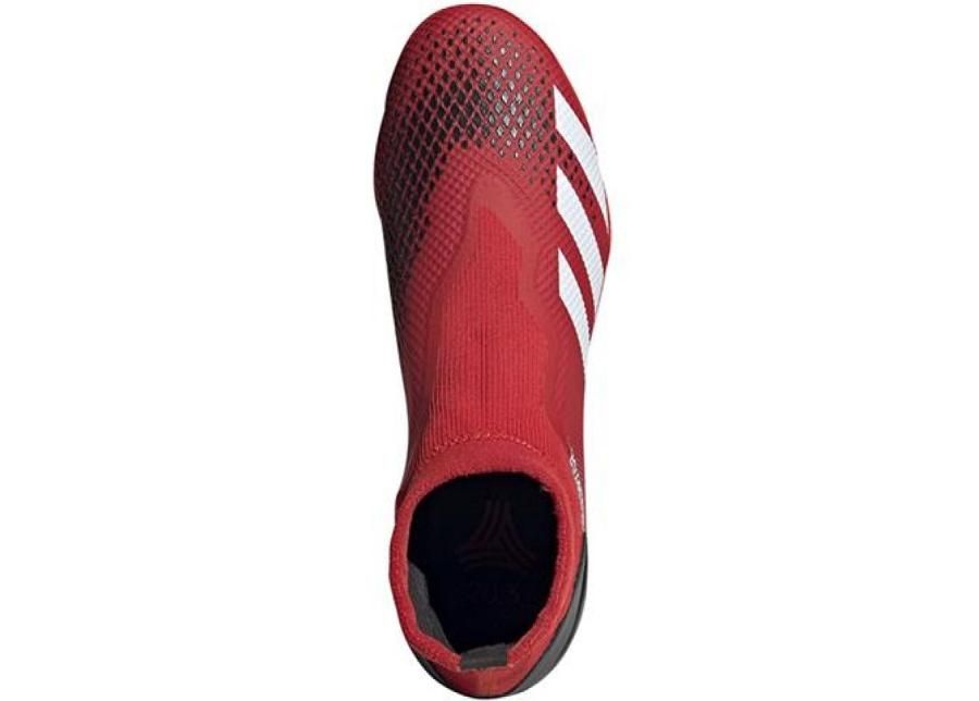 Miesten jalkapallokengät tekonurmelle Adidas Predato 20,3 LL M TF EE9576 kuvasuurennos