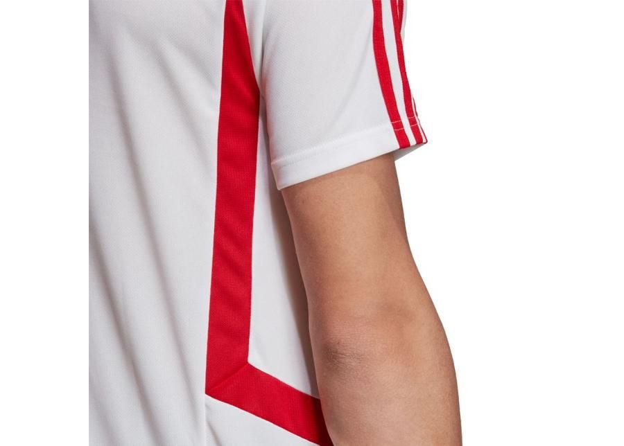 Miesten jalkapallopaita adidas Arsenal TR Jersey M EJ6278 kuvasuurennos