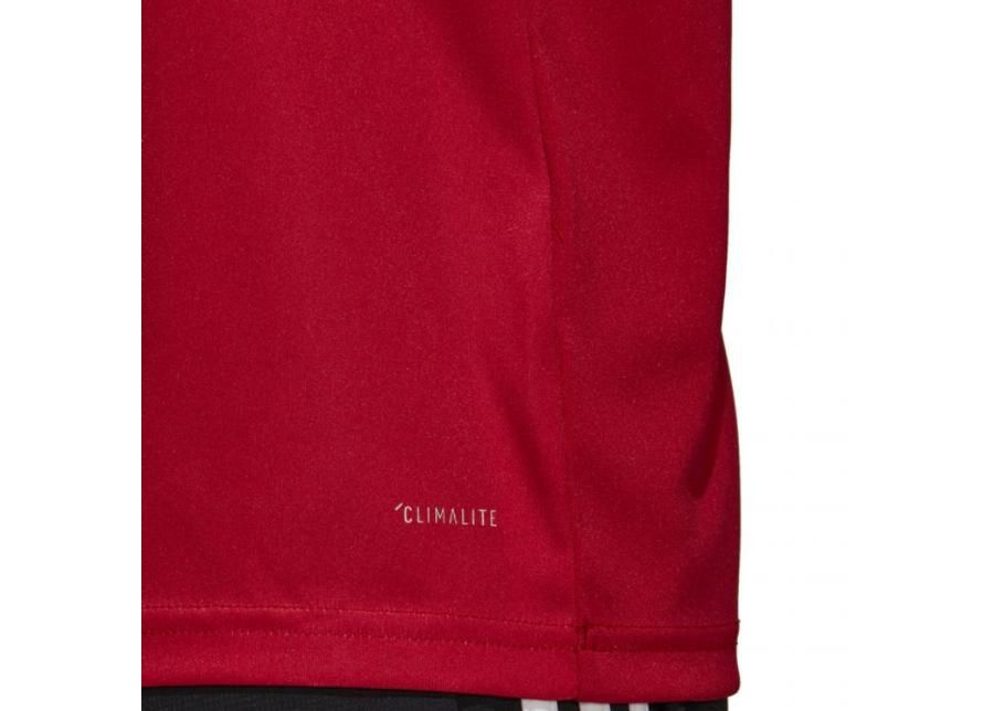 Miesten jalkapallopaita Adidas Campeon 19 Jersey M DP6809 kuvasuurennos