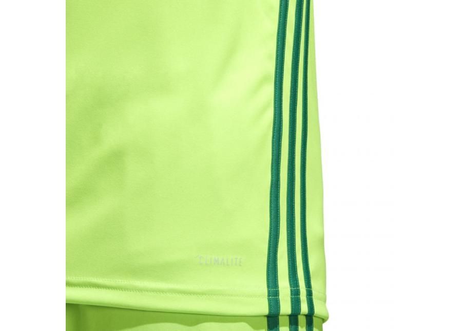 Miesten jalkapallopaita Adidas Regista 18 Jersey M CE8973 kuvasuurennos