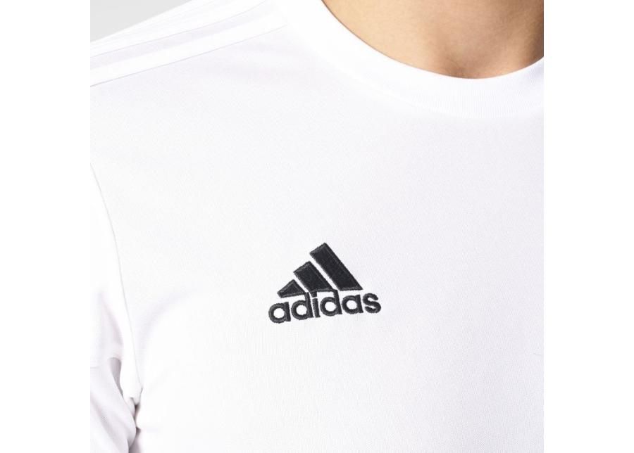 Miesten jalkapallopaita Adidas Squadra 17 M BJ9176 kuvasuurennos