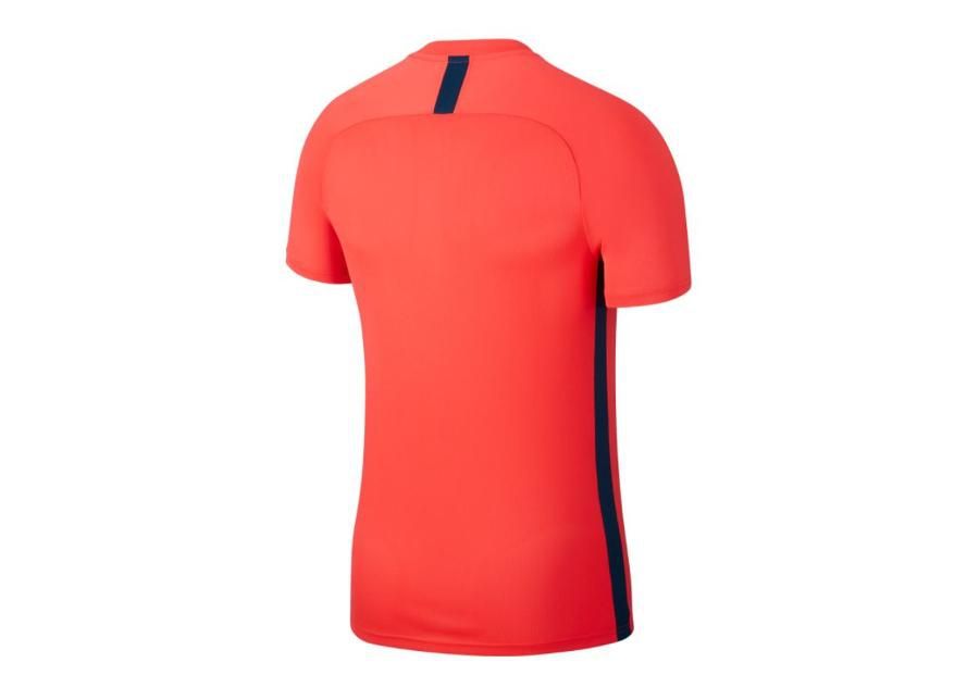 Miesten jalkapallopaita Nike Dry Academy Top M AJ9996-644 kuvasuurennos