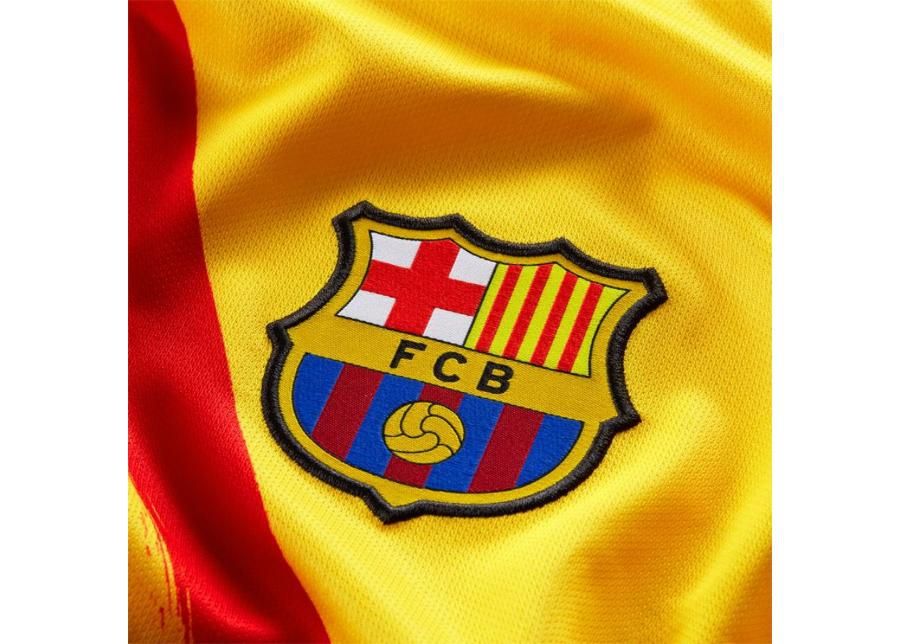 Miesten jalkapallopaita Nike FC Barcelona Vapor Match M CT2528-727 kuvasuurennos