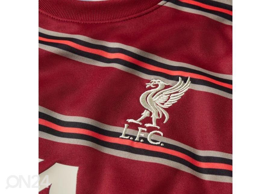 Miesten jalkapallopaita Nike Liverpool FC Pre-Match kuvasuurennos