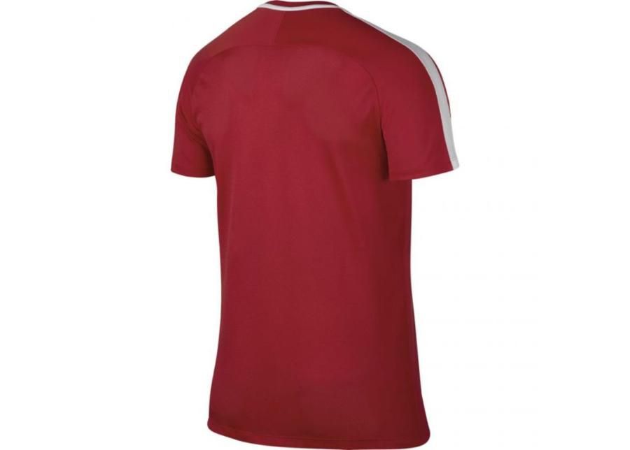 Miesten jalkapallopaita Nike Nk Gry Ss Academy M 832967-657 kuvasuurennos