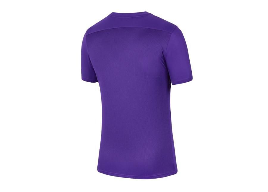 Miesten jalkapallopaita Nike Park VII M BV6708-547 kuvasuurennos