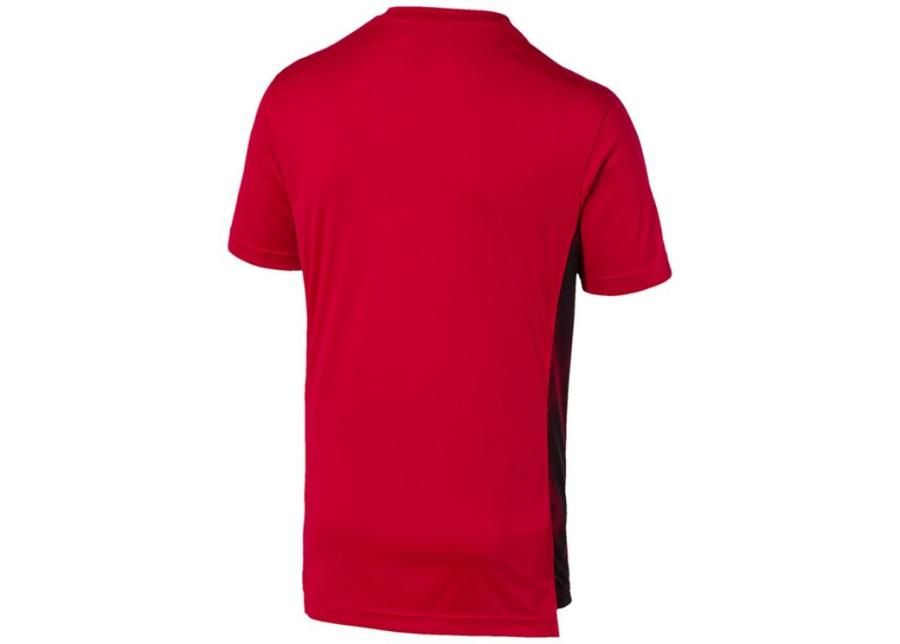 Miesten jalkapallopaita Puma AC Milano Stadium Jersey 756140 01 kuvasuurennos