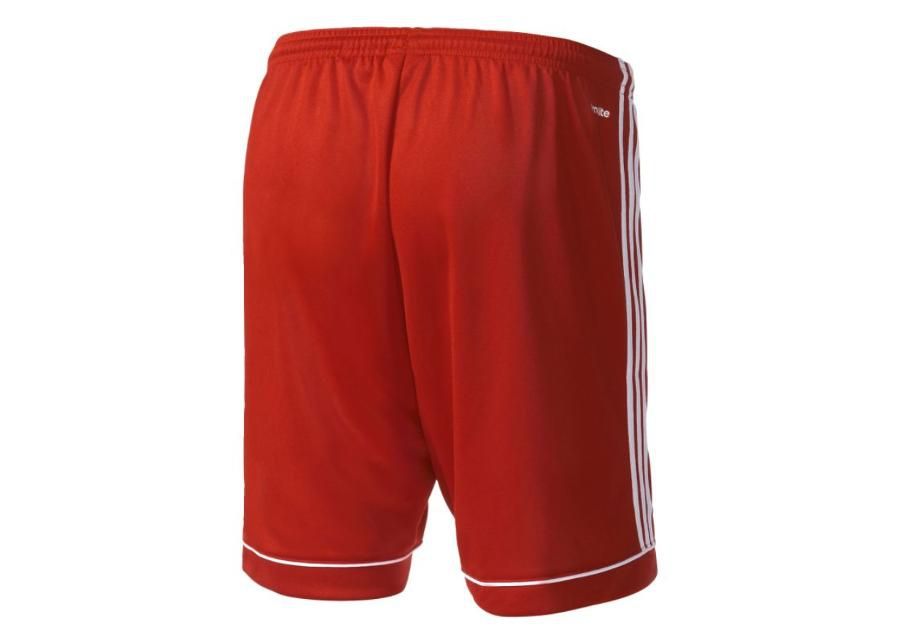Miesten jalkapalloshortsit Adidas Squadra 17 M BJ9226 kuvasuurennos