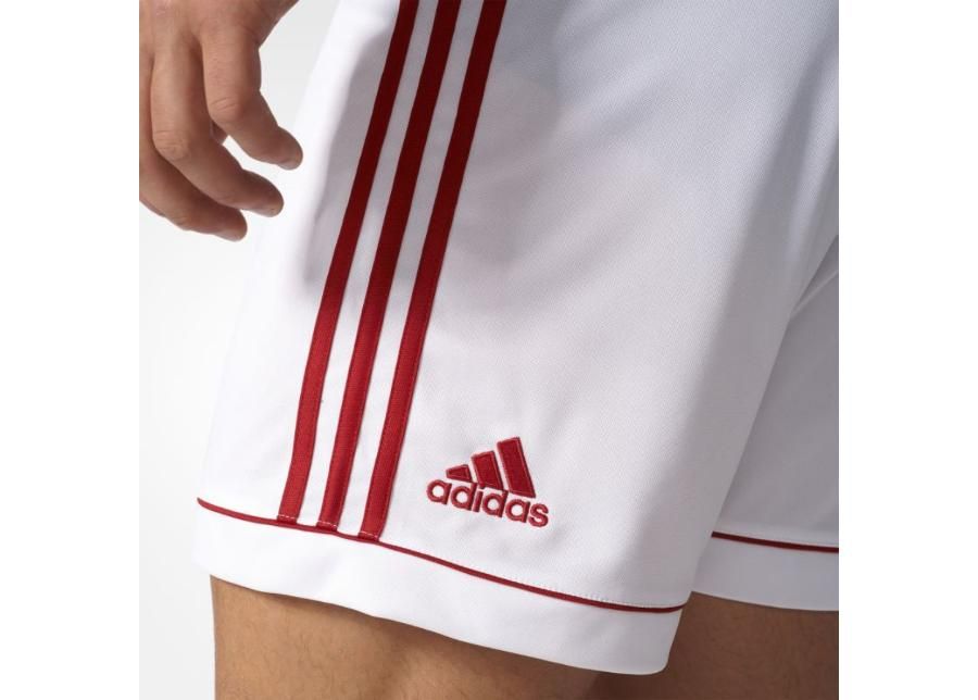 Miesten jalkapalloshortsit Adidas Squadra 17 M BK4762 kuvasuurennos