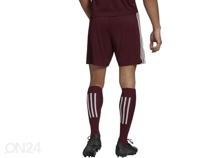 Miesten jalkapalloshortsit Adidas Squadra 21 Short kuvasuurennos