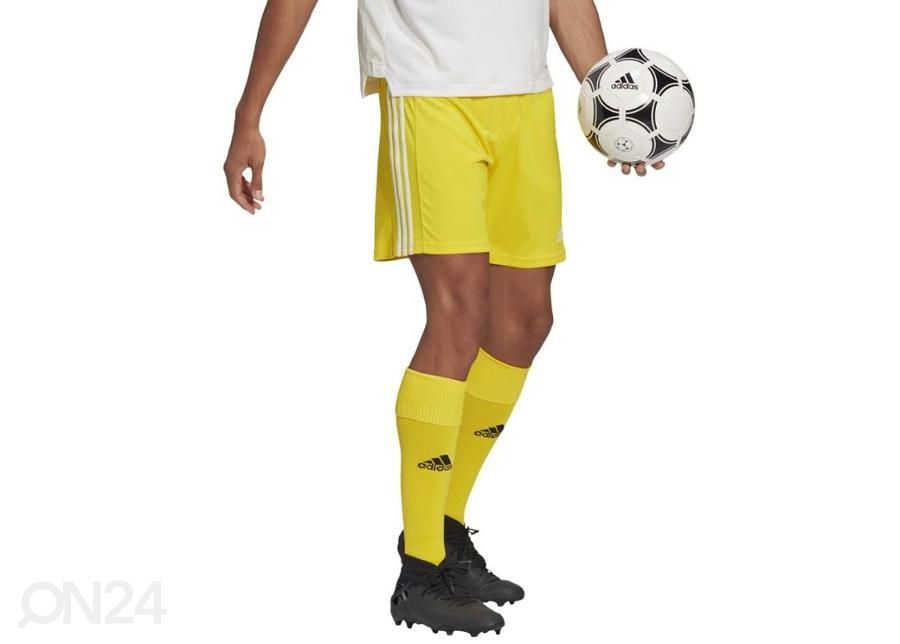Miesten jalkapalloshortsit Adidas Squadra 21 Short M GN5772 kuvasuurennos