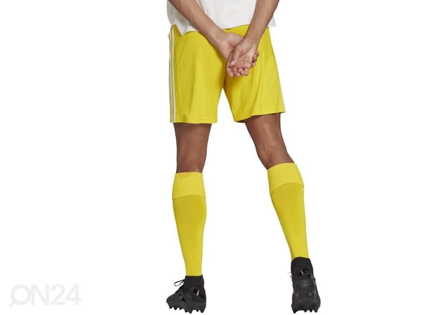 Miesten jalkapalloshortsit Adidas Squadra 21 Short M GN5772 kuvasuurennos