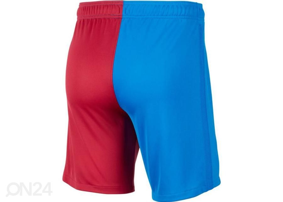 Miesten jalkapalloshortsit Nike FC Barcelona kuvasuurennos