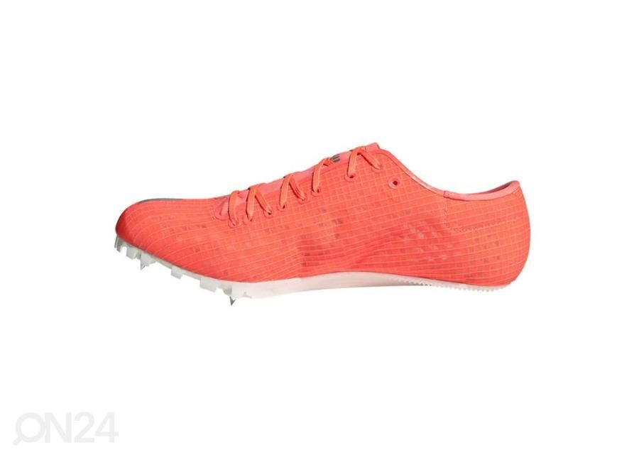 Miesten juoksukengät Adidas Adizero Finesse Spikes kuvasuurennos