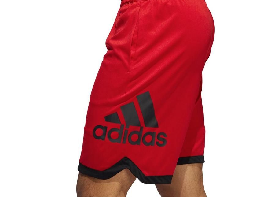 Miesten koripallo shortsit Adidas Badge Sport M DX6744 kuvasuurennos