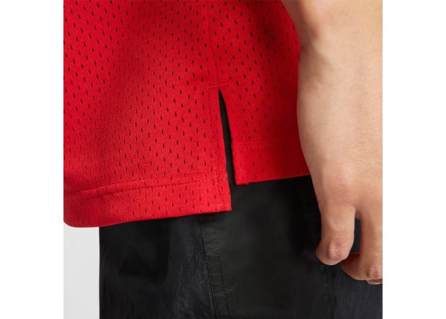 Miesten koripallopaita Nike Jordan Sport DNA M CJ6151-657 kuvasuurennos