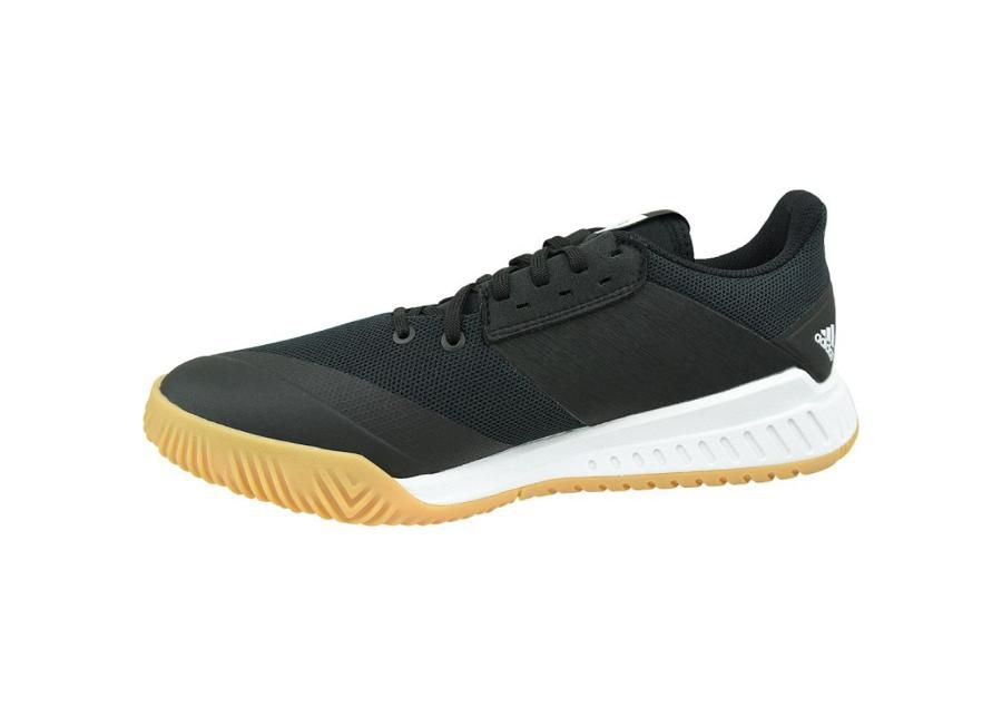 Miesten lentopallokengät adidas Crazyflight Team M D97701 kuvasuurennos