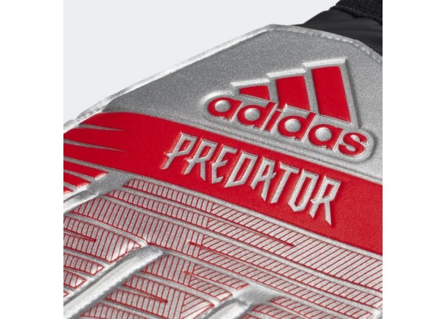 Miesten maalivahdin hanskat adidas Predator TRN M DY2614 kuvasuurennos