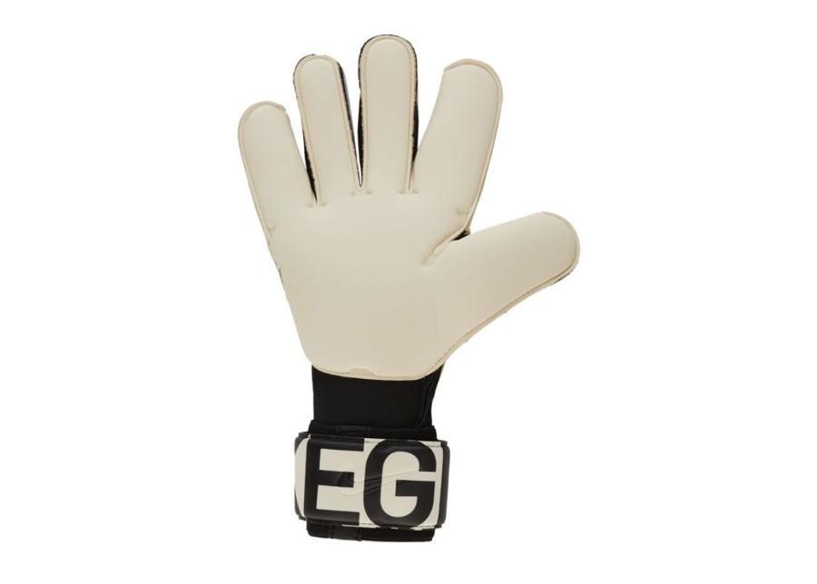 Miesten maalivahdin hanskat Nike GK Vapor Grip 3 ACC M GS3884-100 kuvasuurennos