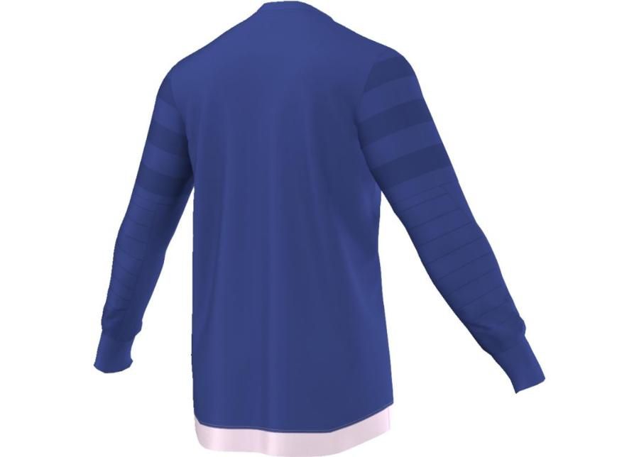Miesten maalivahdin paita Adidas ENTRY 15 GK M AP0325 kuvasuurennos