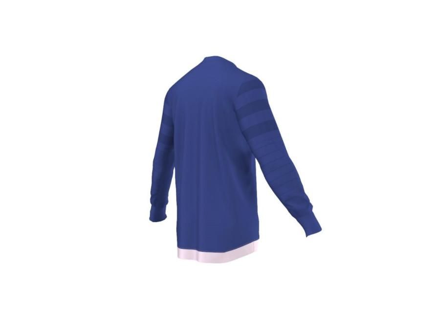 Miesten maalivahdin paita Adidas ENTRY 15 GK M AP0325 kuvasuurennos