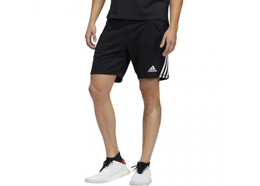 Miesten maalivahdin shortsit adidas Tierro Goalkeeper Shorts M FT1454 kuvasuurennos