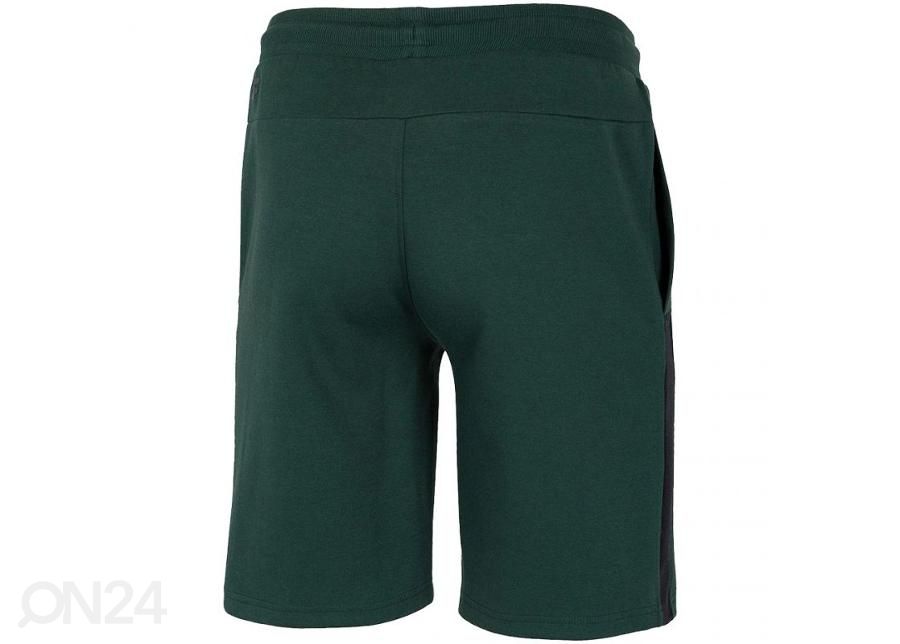 Miesten shortsit 4F kuvasuurennos