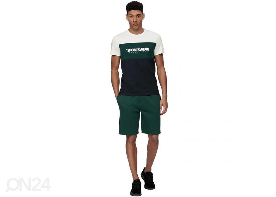 Miesten shortsit 4F kuvasuurennos