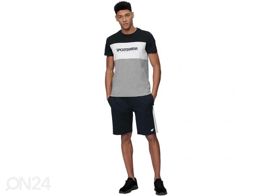 Miesten shortsit 4F kuvasuurennos