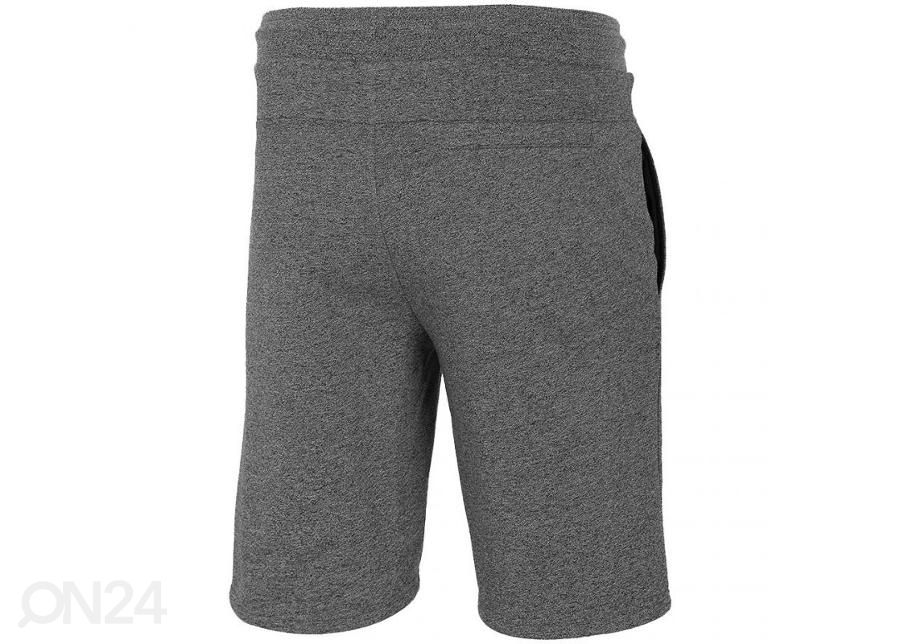 Miesten shortsit 4F kuvasuurennos
